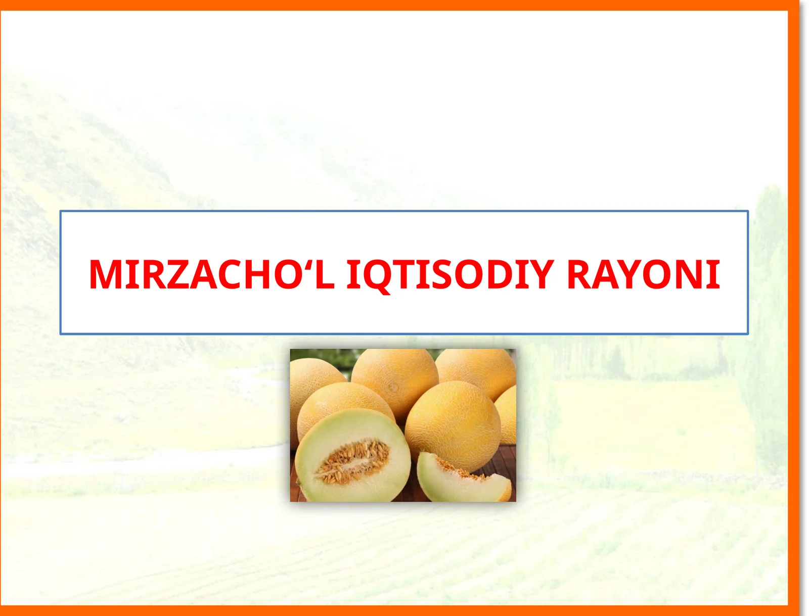 MIRZACHO‘L IQTISODIY RAYONI