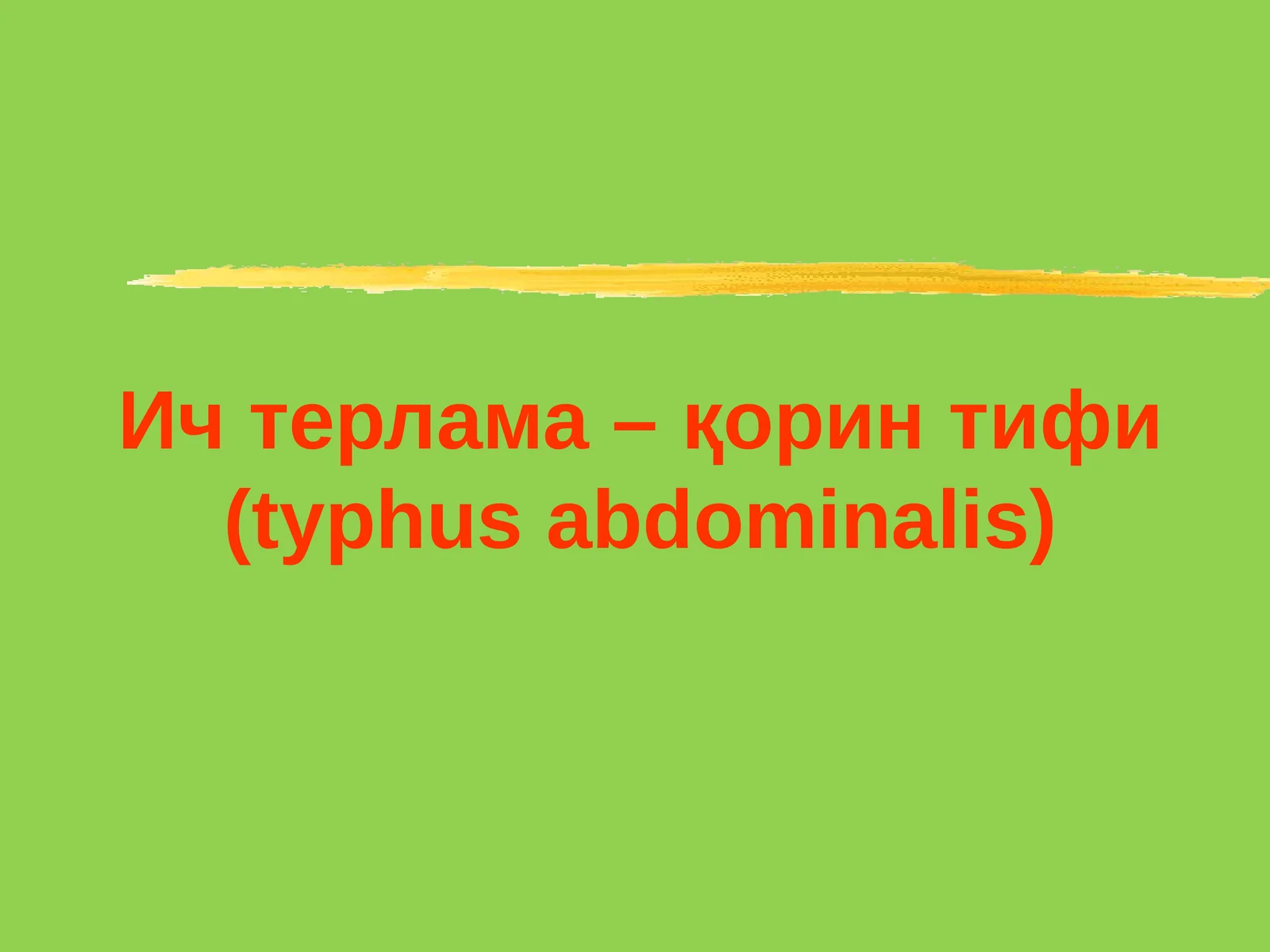 Ичтерлама–қорин тифи (typhus abdominalis)
