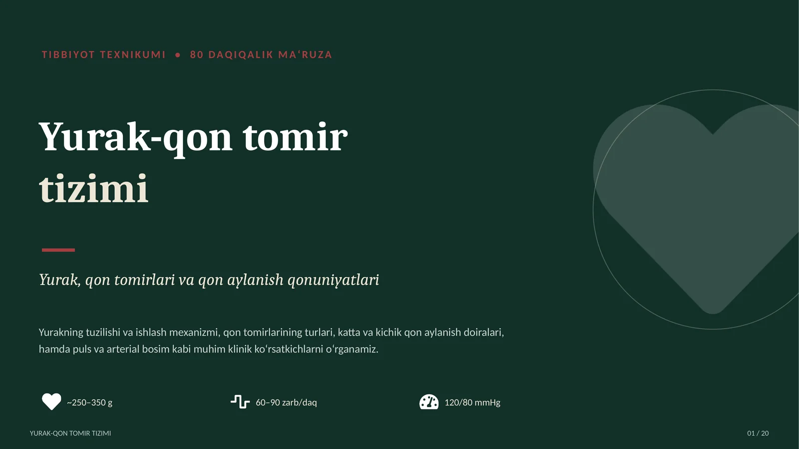 TIBBIYOT TEXNIKUMI yurak qon tomir tizimi