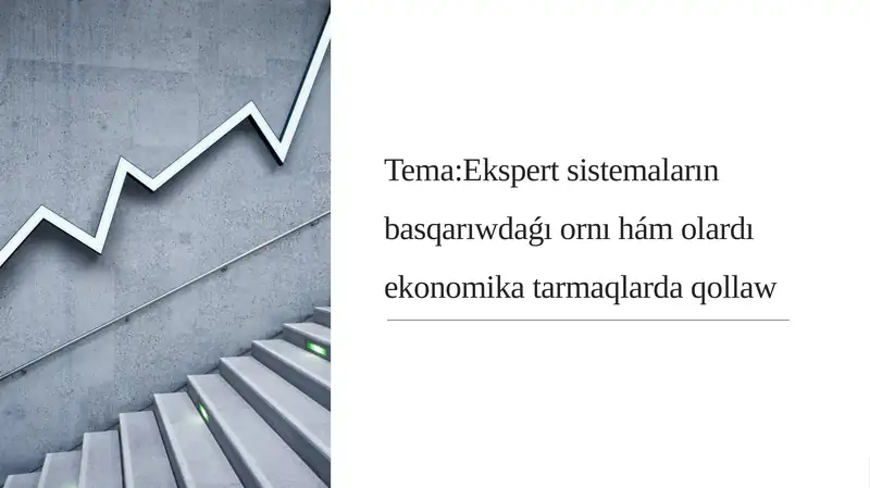 Ekspert sistemaların basqarıwdaǵı ornı hám olardı ekonomika tarmaqlarda qollaw
