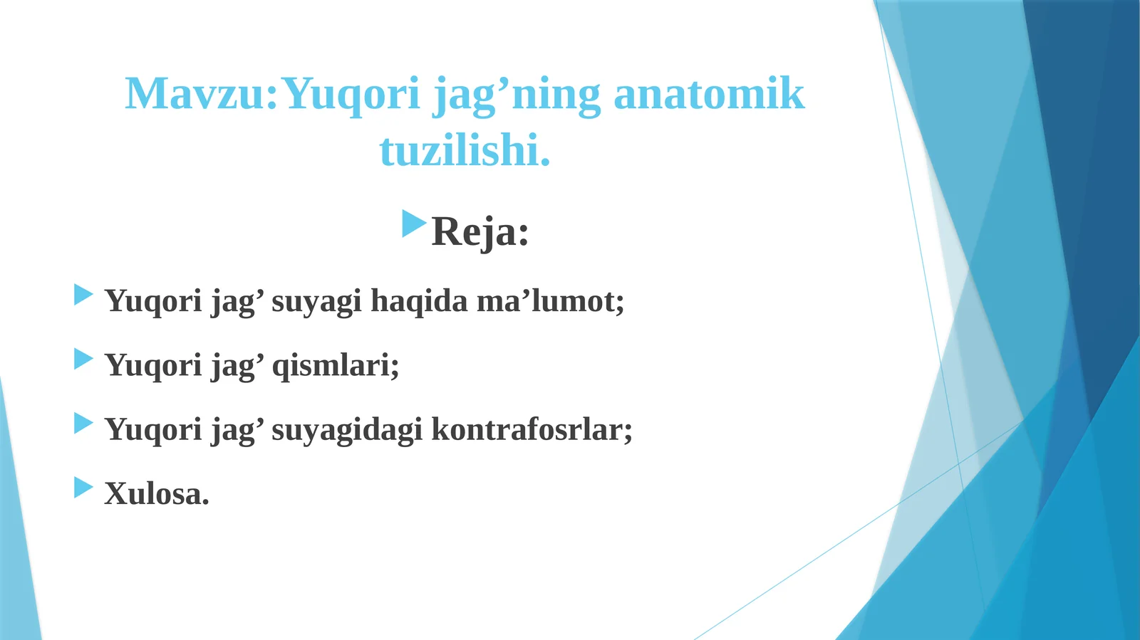 Yuqorijag’ning anatomik tuzulishi