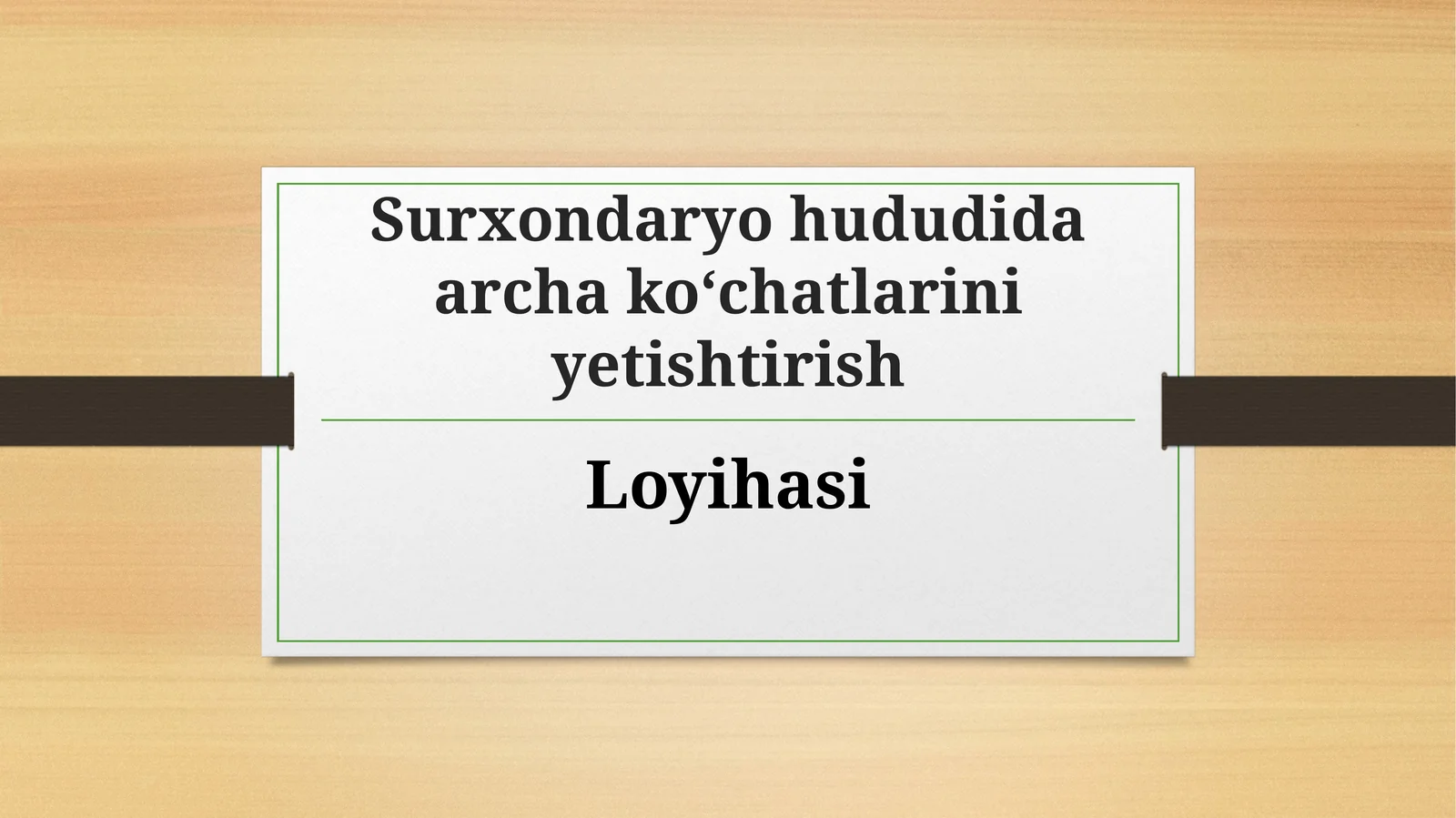 (100 millionlik loyiha ishi)  Surxondaryohududida archa ko‘chatlarini yetishtirish Loyihasi