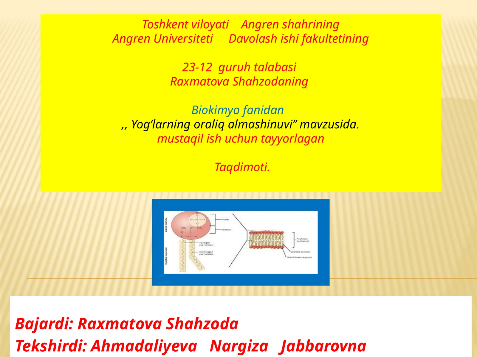 YOG’LAR (LIPID) HAQIDA
