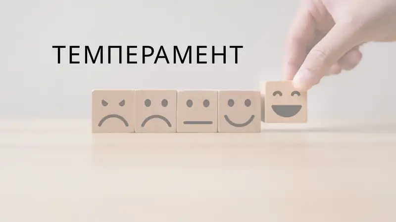 темперамент презентация