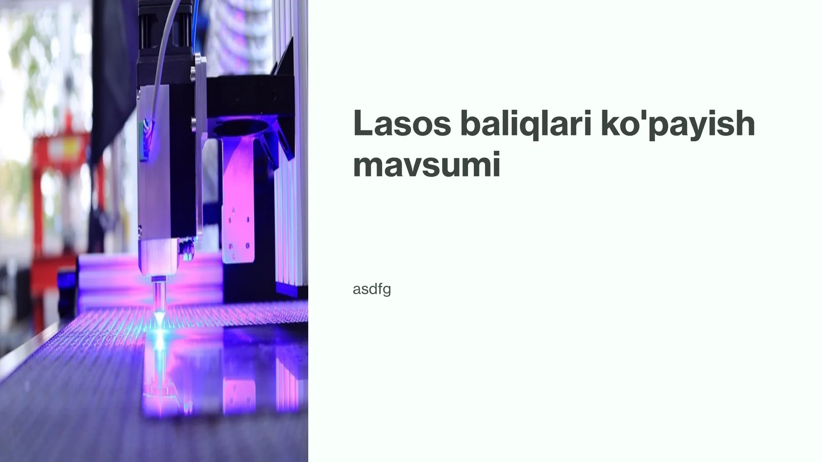 Lasos baliqlari ko'payish mavsumi