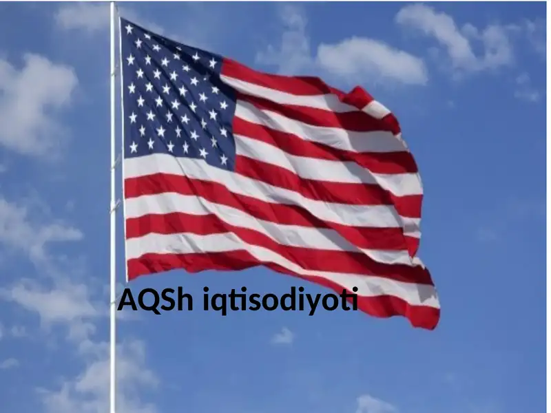 AQSh iqtisodiyoti ( Statistikasi )