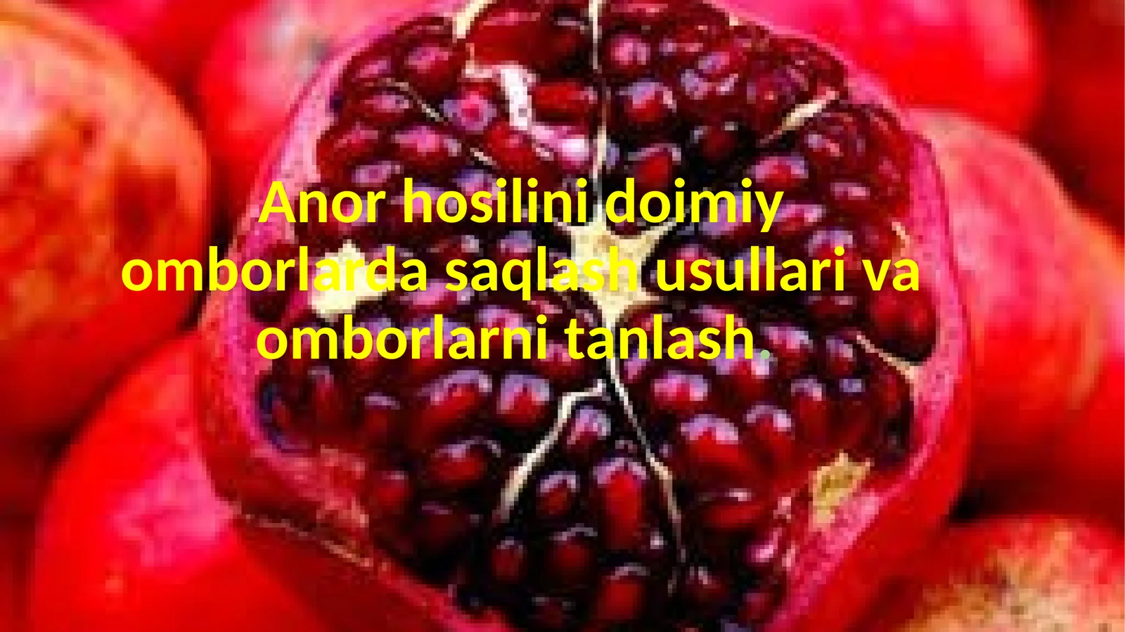 anor saqlash usullari taqdimot