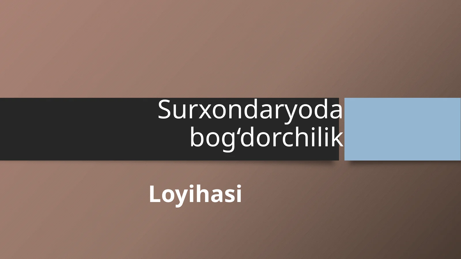 (100 millionlik loyiha ishi)  Surxondaryoda bog‘dorchilik Loyihasi