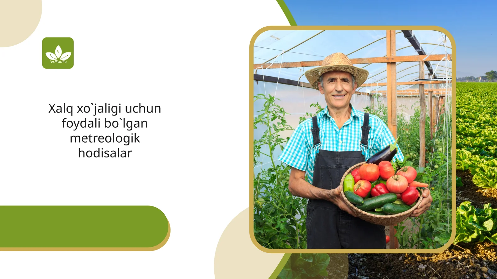 Xalq xo`jaligi uchun foydali bo`lgan metreologik hodisalar