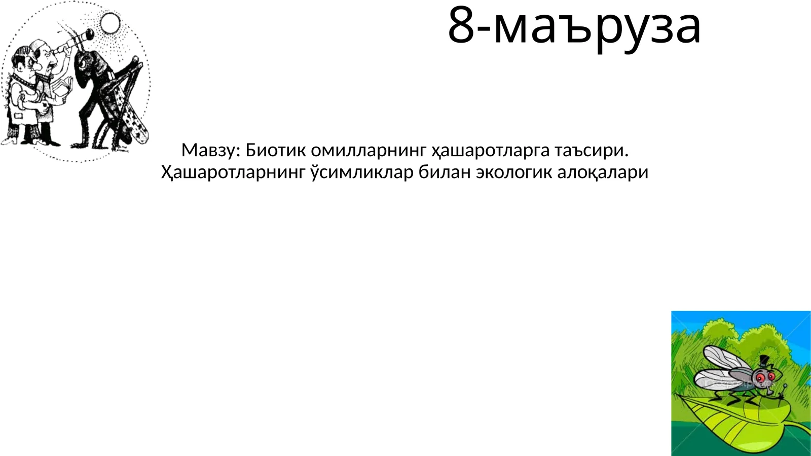 Биотик омилларнинг ҳашаротларга таъсири