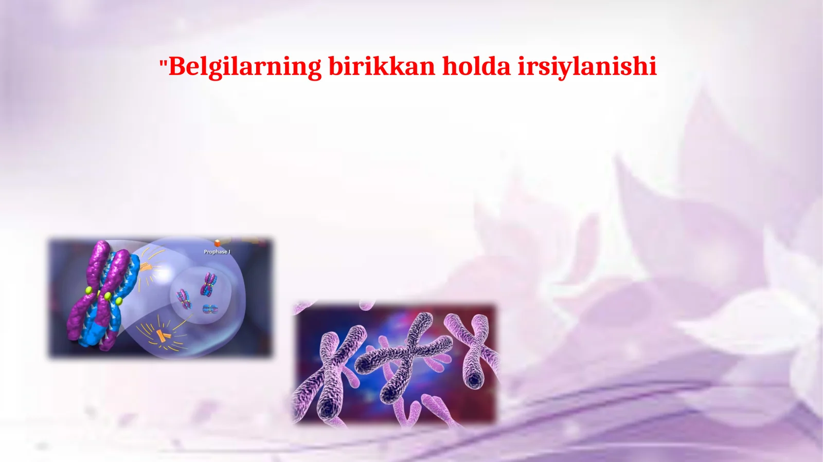 Xromosomalar va jinsning birikkan holdairsi