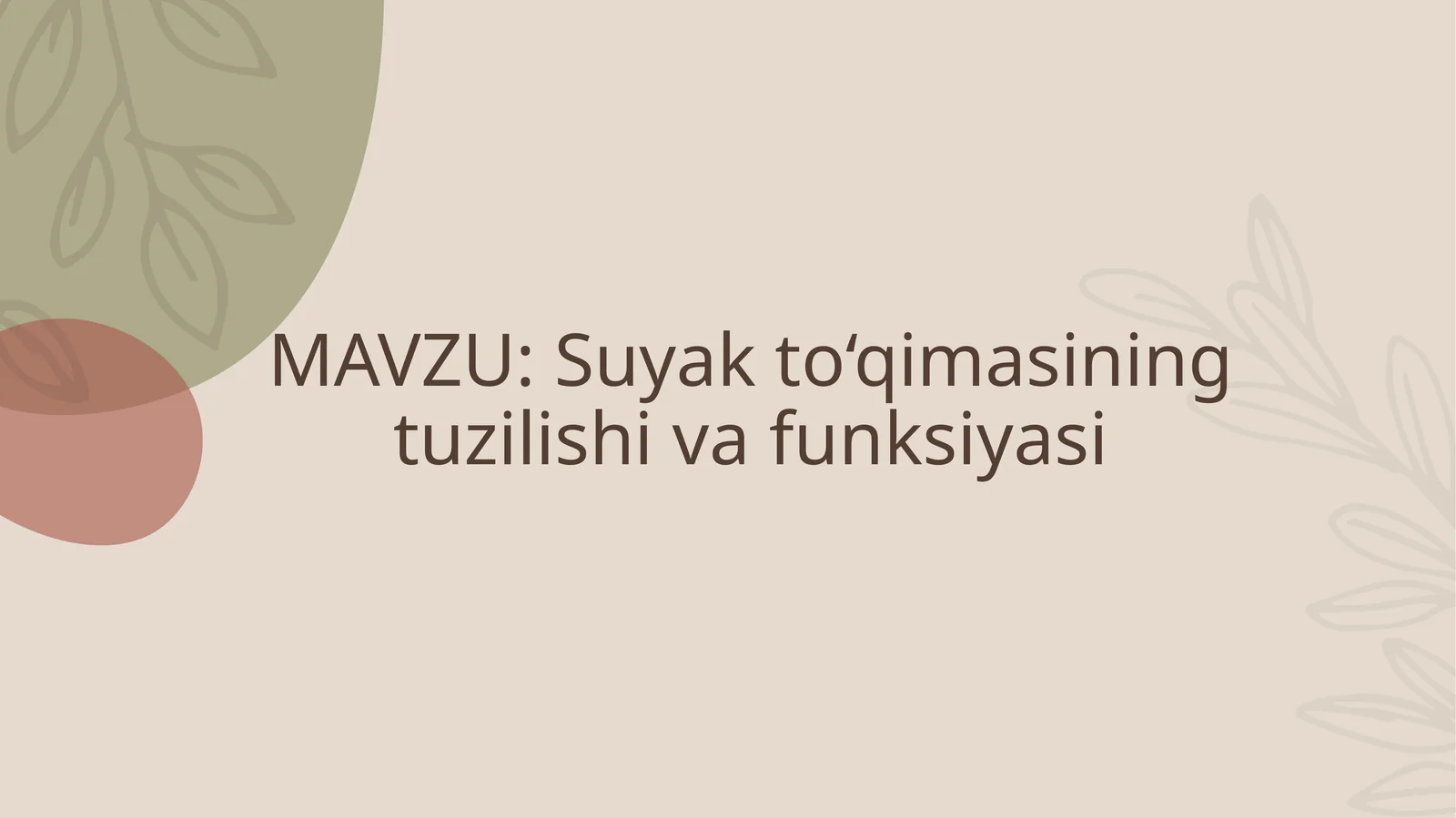Suyak to‘qimasining tuzilishi va funksiyasi