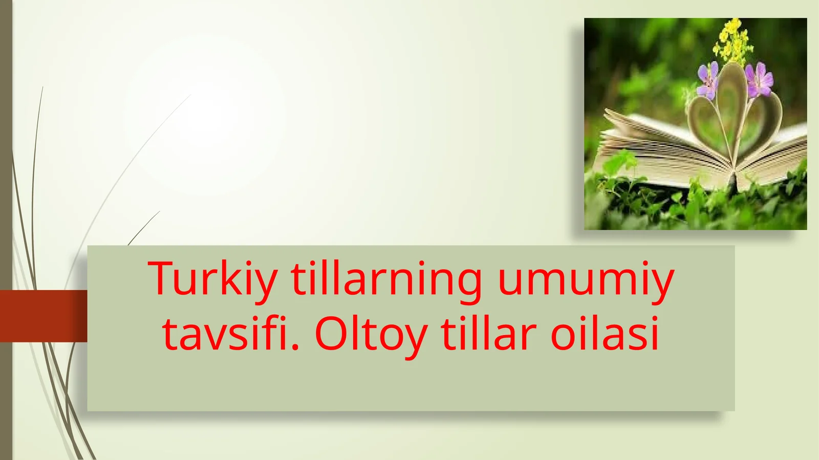 Turkiy tillarning umumiy tavsifi. Oltoy tillar oilasi