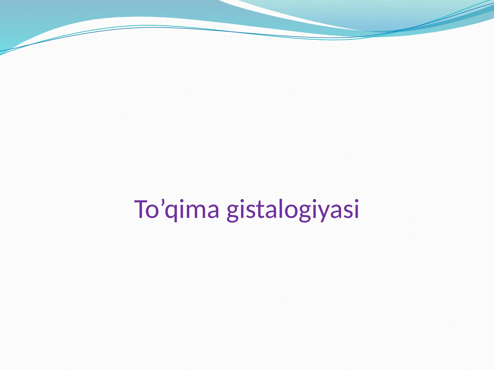 To’qimagistalogiyasi