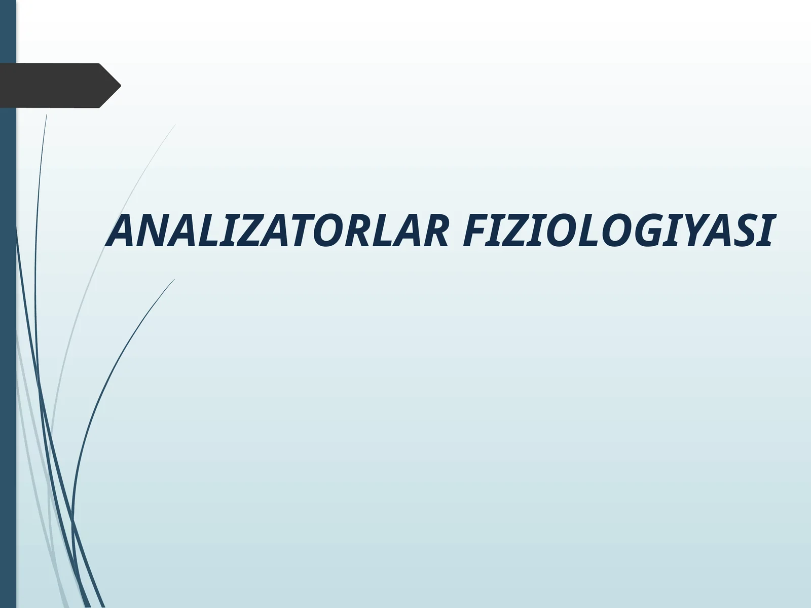 ANALIZATORLAR FIZIOLOGIYASI