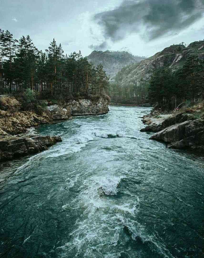 Dilshodbek Toshpulatov