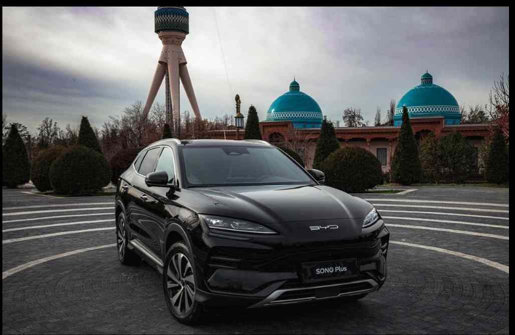 Sotuvchi 385471