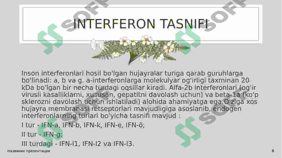 Product slide 8