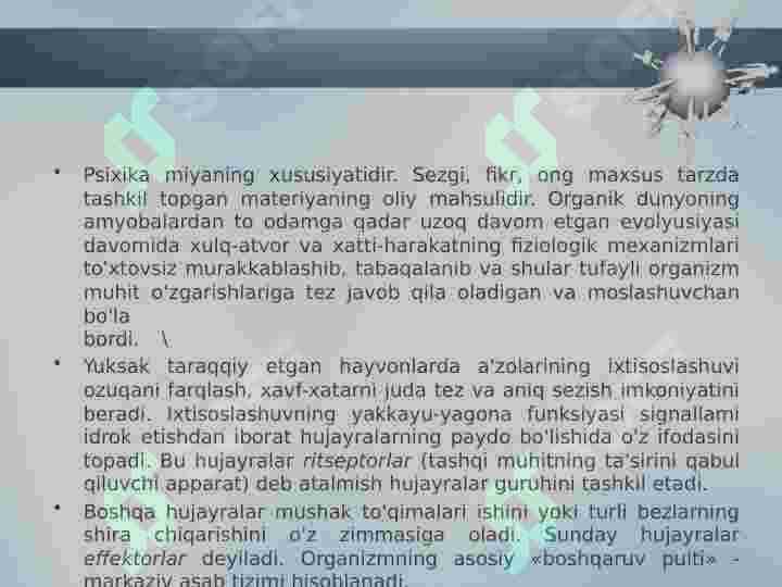 Product slide 7