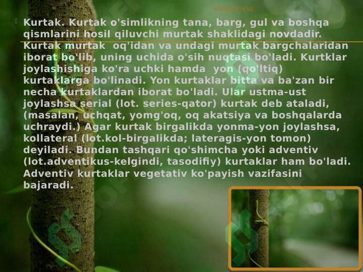 Product slide 8