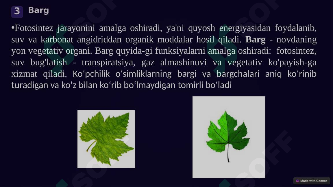 Product slide 5