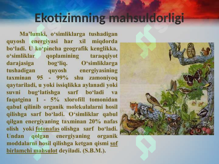 Product slide 6