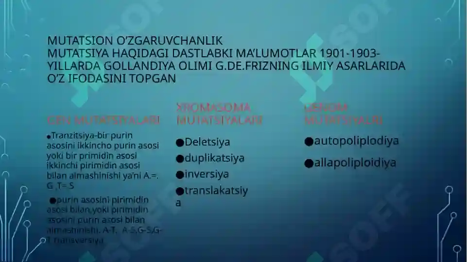 Product slide 6