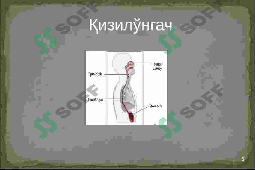 Product slide 6