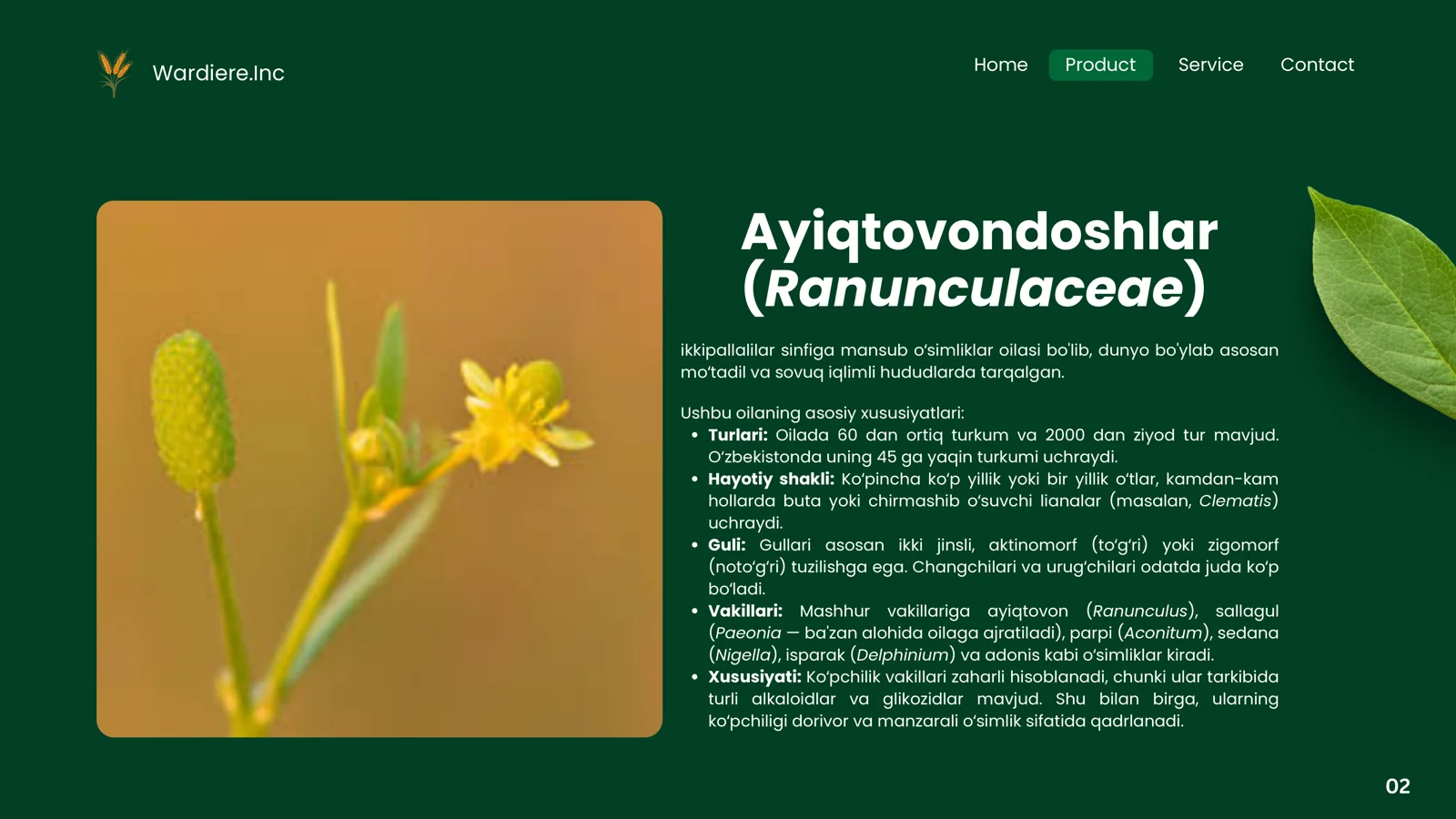 Product slide 2