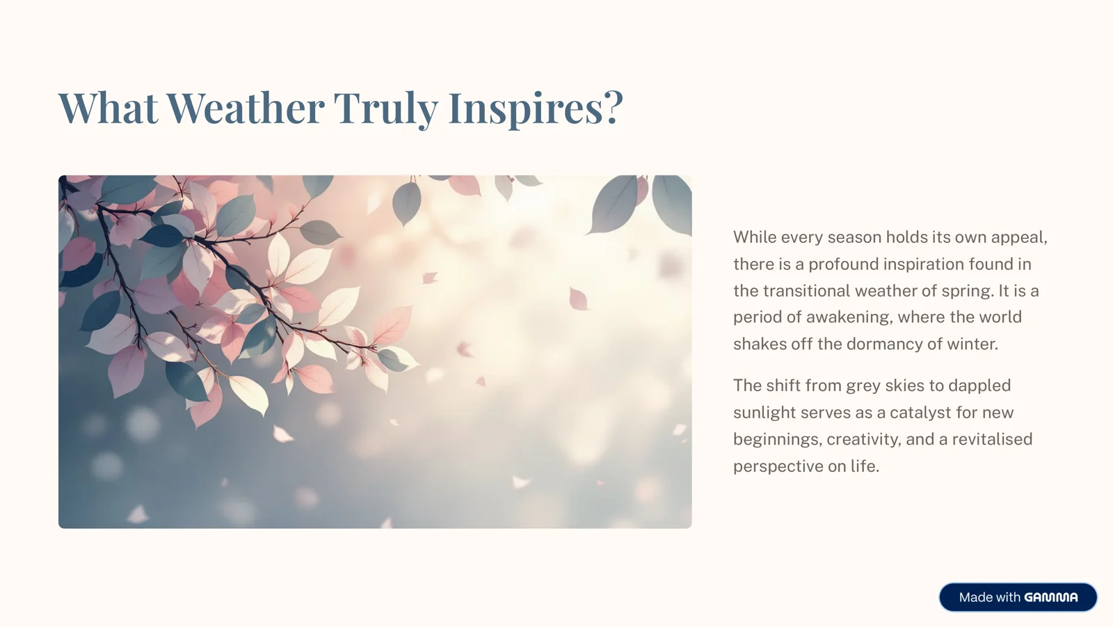 Product slide 2