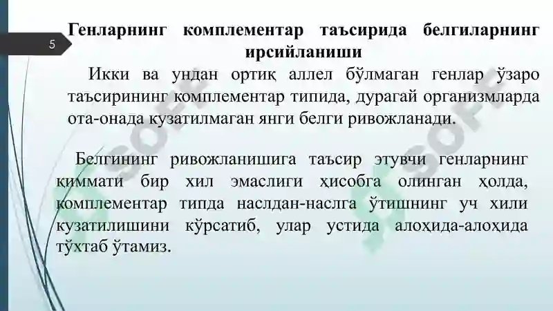 Product slide 5