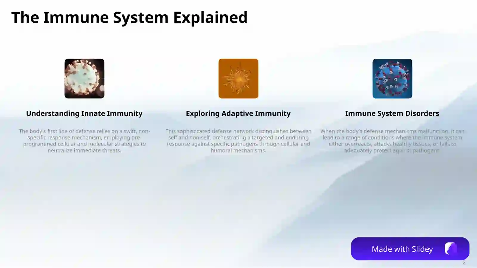 Product slide 2