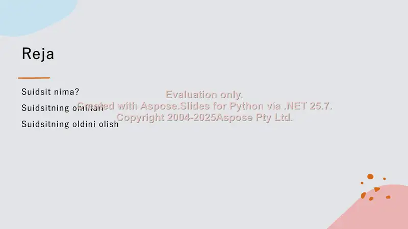Product slide 2