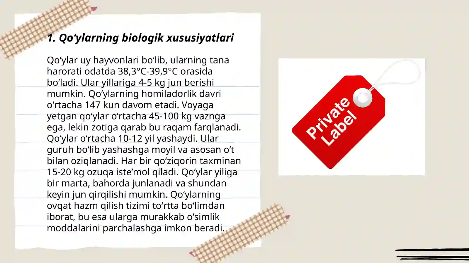 Product slide 3