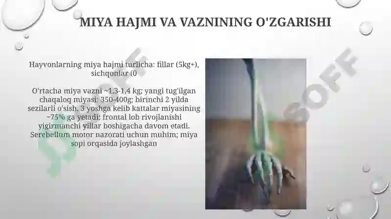 Product slide 6