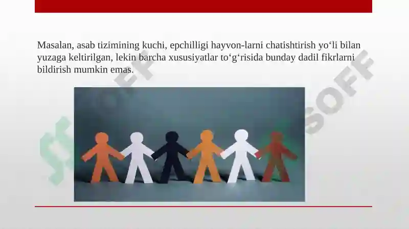 Product slide 7