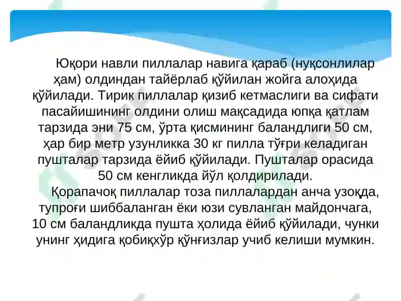 Product slide 7