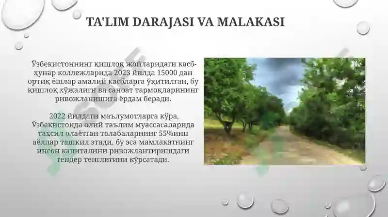Product slide 8