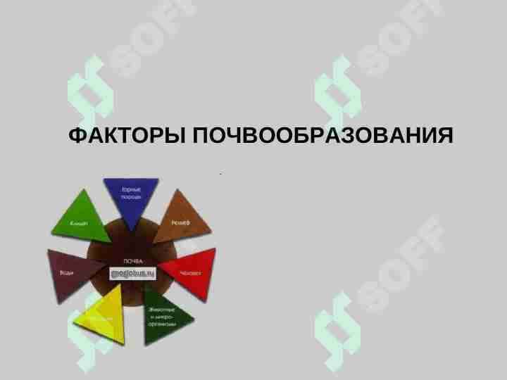 ФАКТОРЫ ПОЧВООБРАЗОВАНИЯ