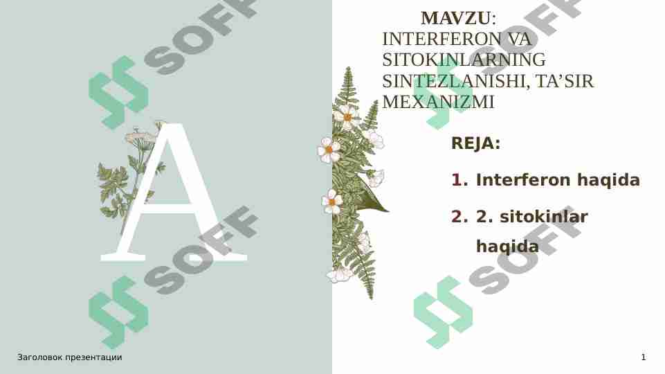 Product slide 1