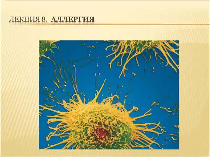 Аллергия