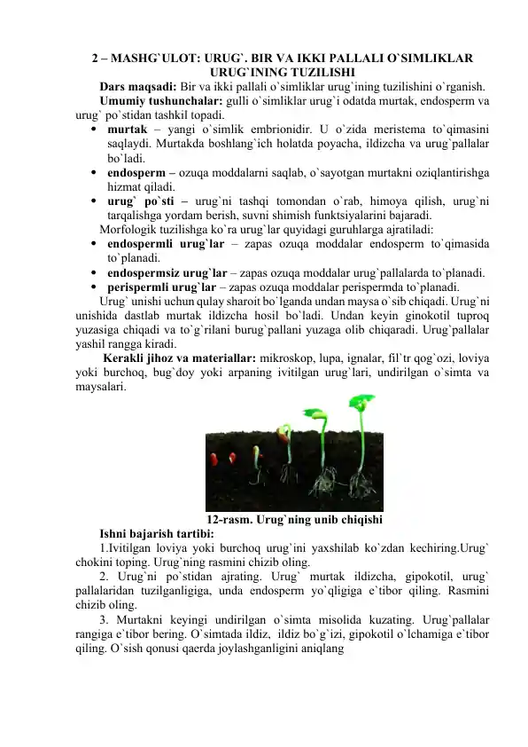 Bir va ikki pallali o‘simliklar urug‘ining tuzilishi
