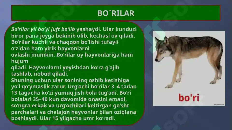 Product slide 5