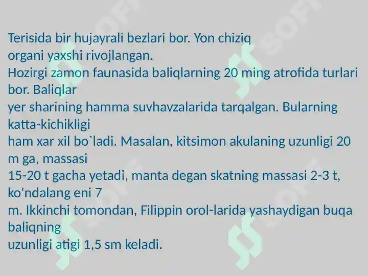 Product slide 5