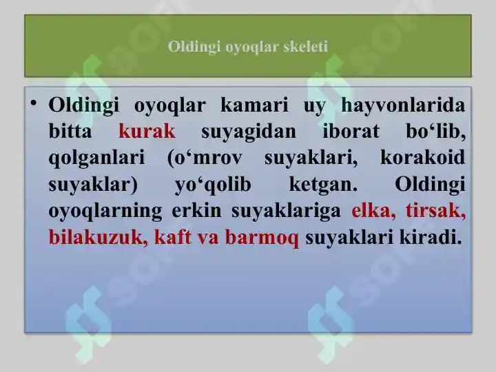 Product slide 5