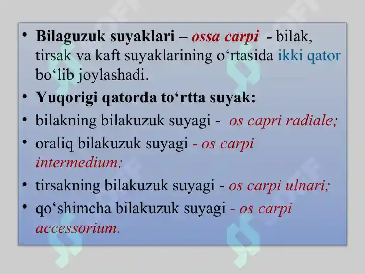 Product slide 8