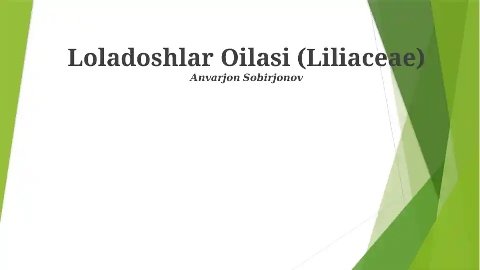 Loladoshlar Oilasi (Liliaceae)