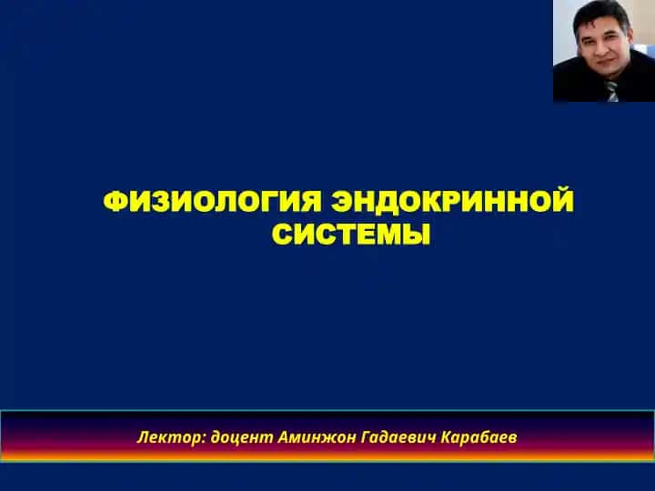 ФИЗИОЛОГИЯ ЭНДОКРИННОЙ СИСТЕМЫ