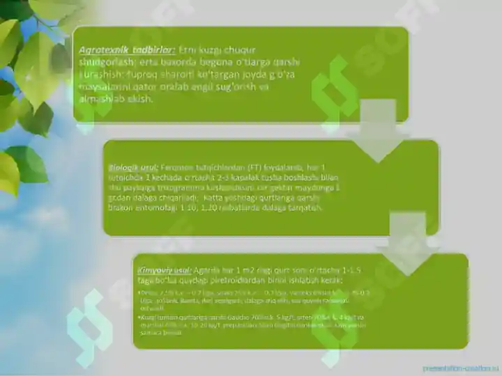 Product slide 6