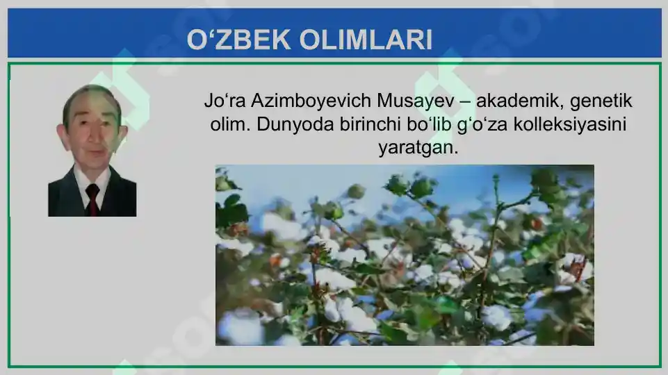 Product slide 8